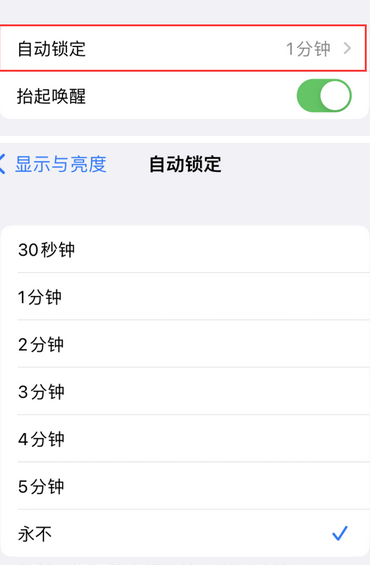郫县苹果换屏维修分享无法调整iPhone自动锁屏的时间怎么办